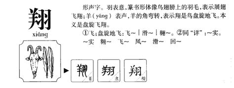 翔五行|翔字的五行是什么,翔的五行属性及吉利寓意